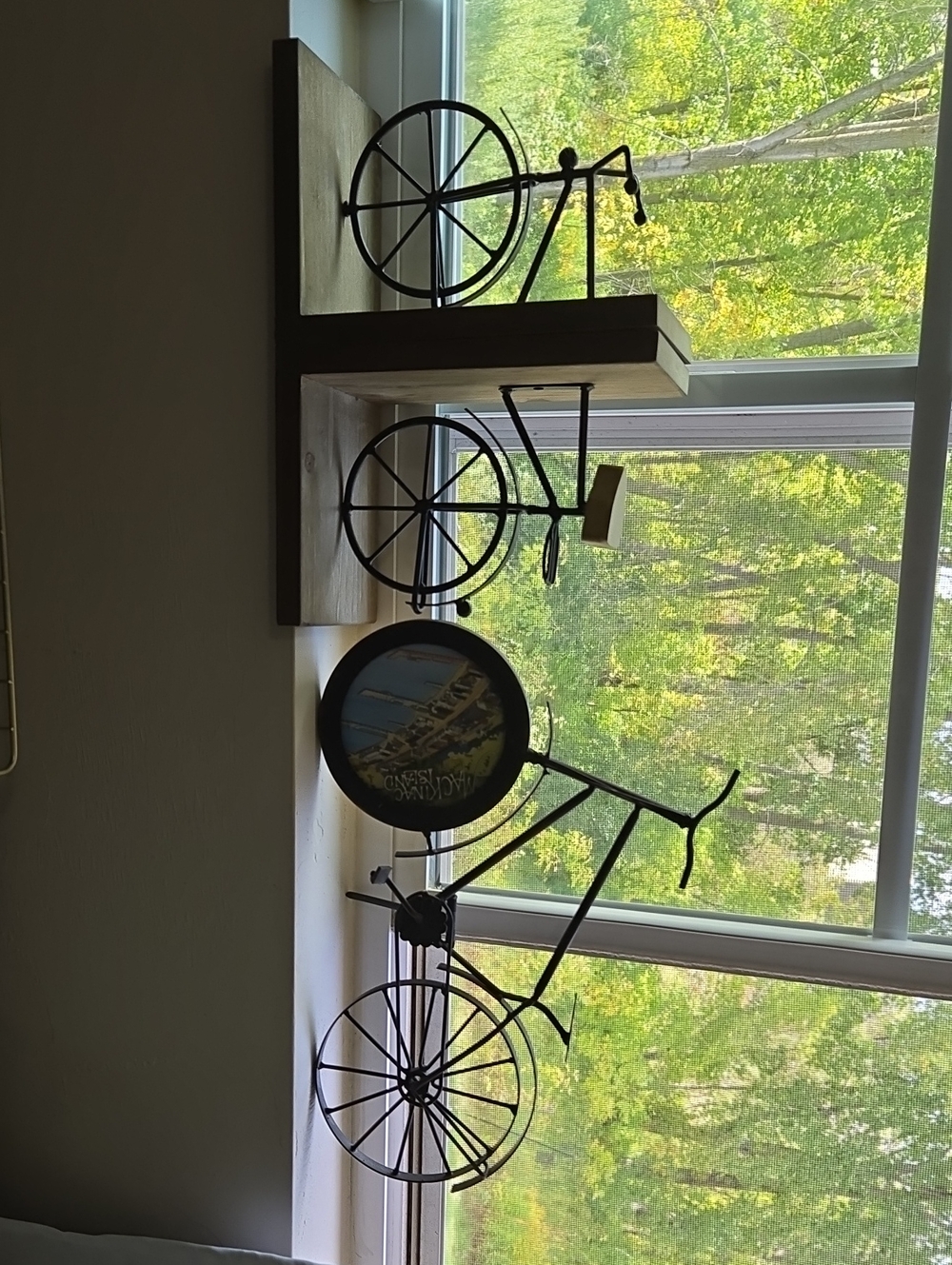 Hobby Lobby Black Metal Bicycle Wall Shelves